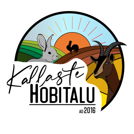 Kallaste Hobitalu